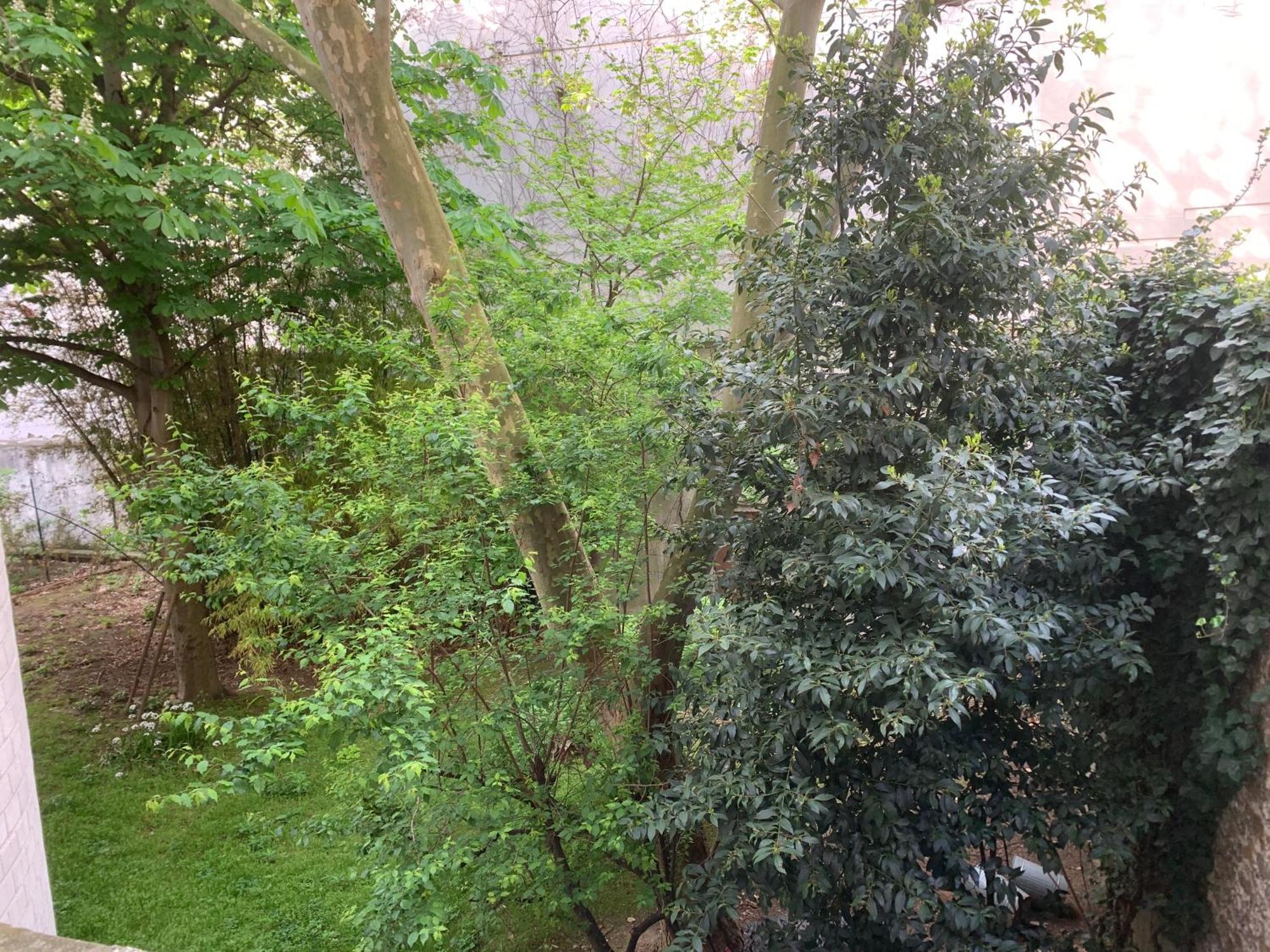 Appartement Pere Lachaise *